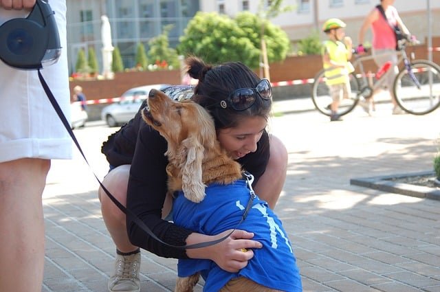 https://pixabay.com/en/dog-host-hug-service-pecel-426100/