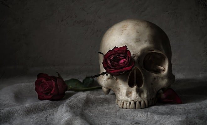 skullwith roses