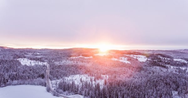 winter, trees, sunrise, landscape
