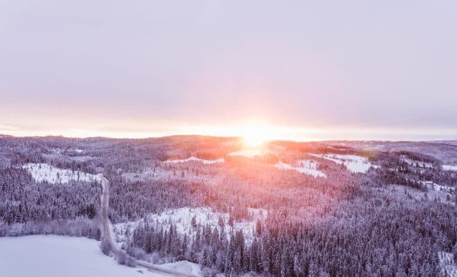 winter, trees, sunrise, landscape