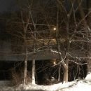 winter night, pond