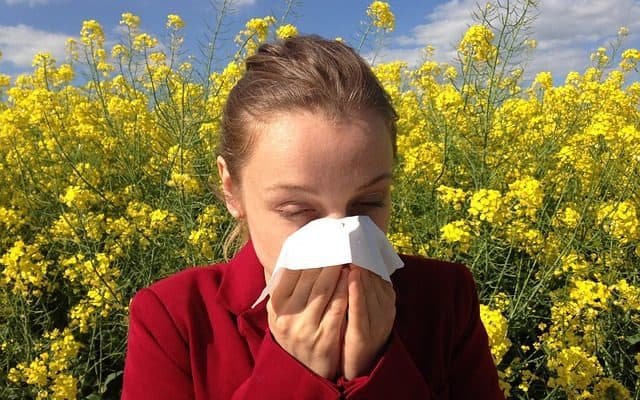 https://pixabay.com/photos/allergy-medical-allergic-allergen-1738191/