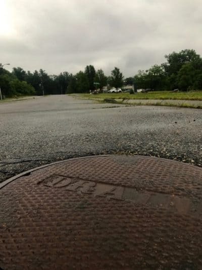 Storm drain, wet road, overcast skies