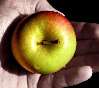 apple, hand, fruit