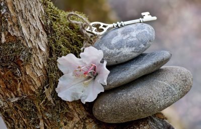 stones balanced with wild rose