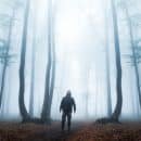 Foggy forest, hooded man
