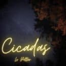 Cicadas on Dark Sky photo by Jacob Potter