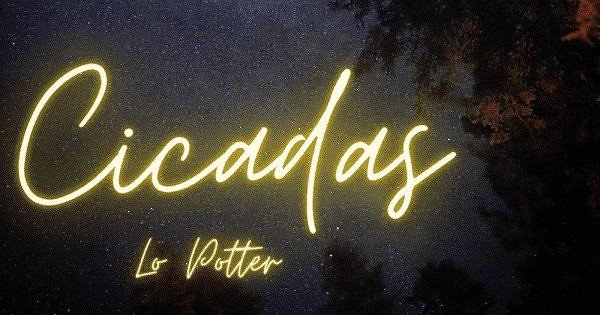 Cicadas on Dark Sky photo by Jacob Potter