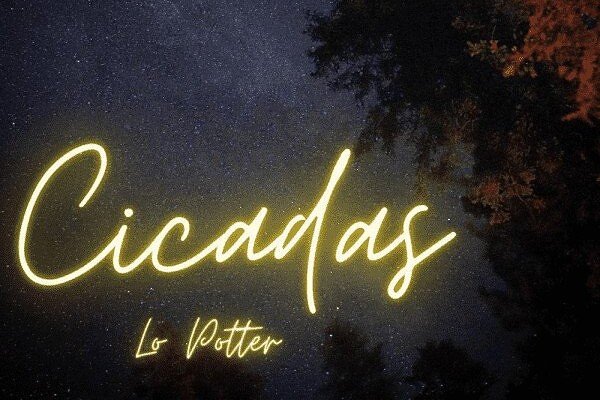 Cicadas on Dark Sky photo by Jacob Potter