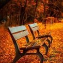 benches in autumn