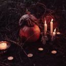 pumpkin with candles around it