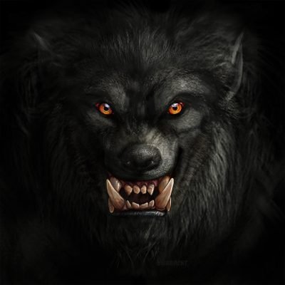 Illinois Werewolf