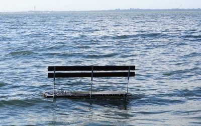 Bench in the water