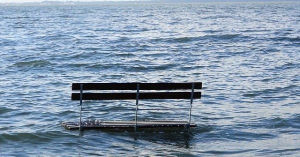 Bench in the water
