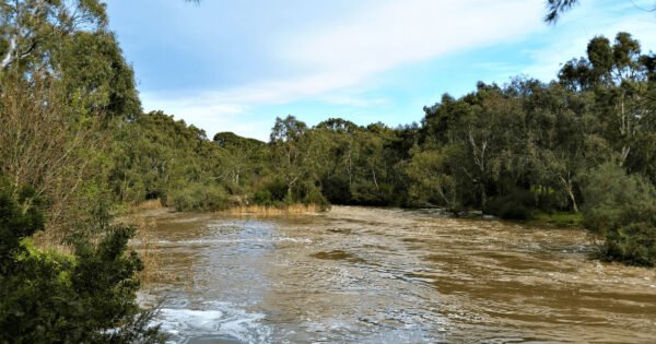 Barwon River