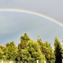 Nature's peaceful landscape