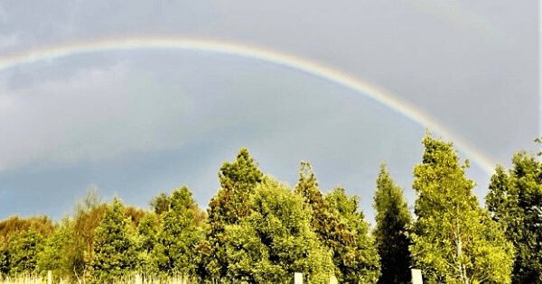 Nature's peaceful landscape