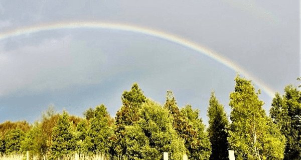 Nature's peaceful landscape