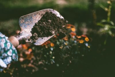gardening gloved hand holding shovel of dirt
