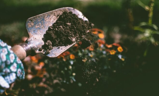 gardening gloved hand holding shovel of dirt
