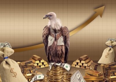 vulture, cash, money bags, coins