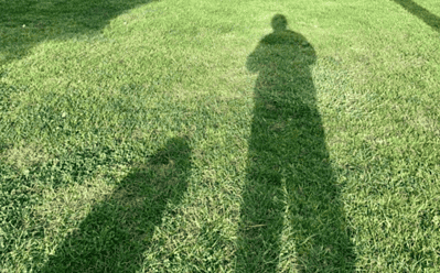 Shadows in a grassy field