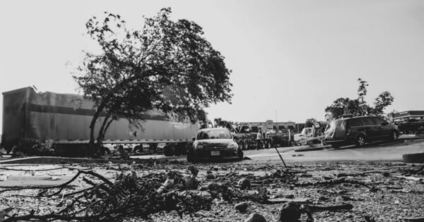 Scattered tree branches, coconuts, and other debris on the backdrop of damaged cars and trucks.