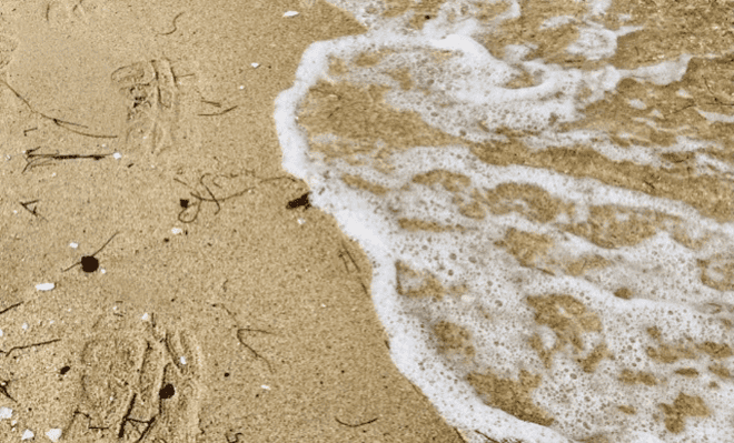 Timeworn footprints in the sand