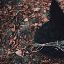 witch hat and lavender