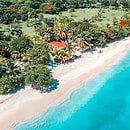 White sand and crystal-blue beach with palm trees and cottages in Grenada