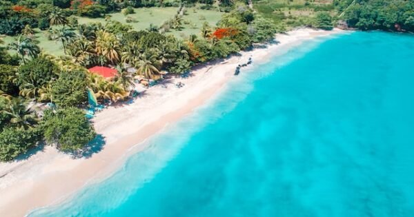 White sand and crystal-blue beach with palm trees and cottages in Grenada