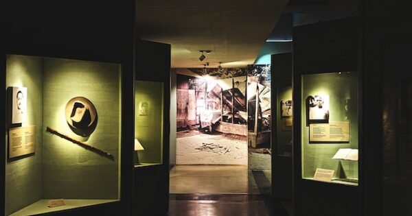 Image of a dimly lit museum showcases