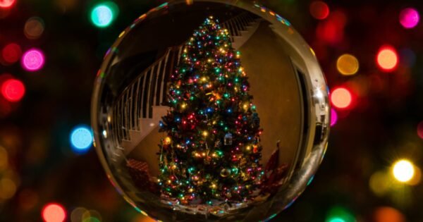 Christmas tree reflected in ornament