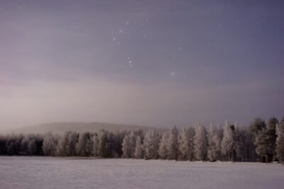 The constellation Orion hangs in the darkening sky over snow-covered pine trees.