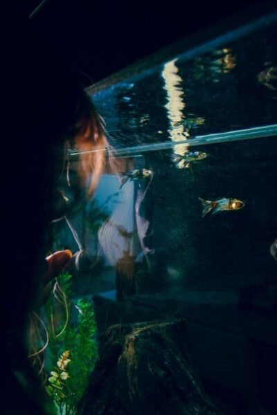Image of a fish tank with a child's face reflected