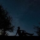 silhouette of trees and person sitting looking up at a star filled night sky