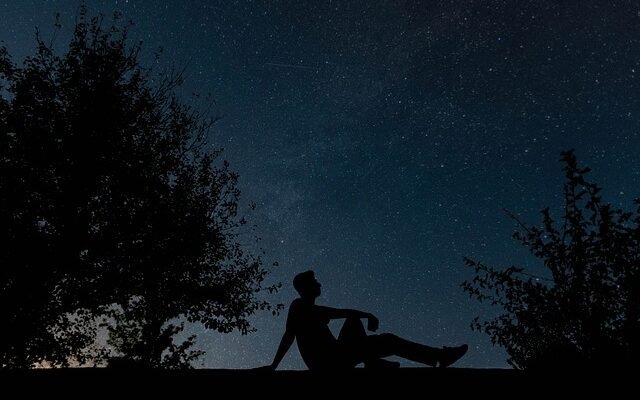silhouette of trees and person sitting looking up at a star filled night sky