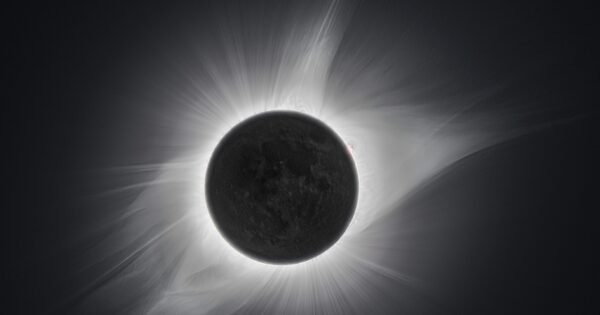 An image of a total solar eclipse with the corona flaring brightly