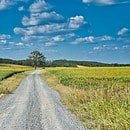 An open country road under a blue sky with a gray gravel road in the middle of the image
