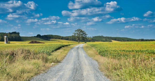 An open country road under a blue sky with a gray gravel road in the middle of the image