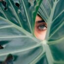 A lady's eye peeking through a whole in a large leaf