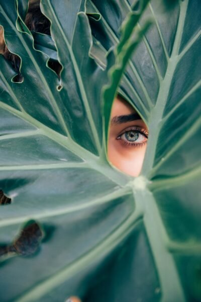 A lady's eye peeking through a whole in a large leaf