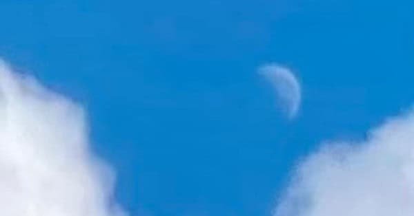 The image is of a piece or shard of the daylight moon