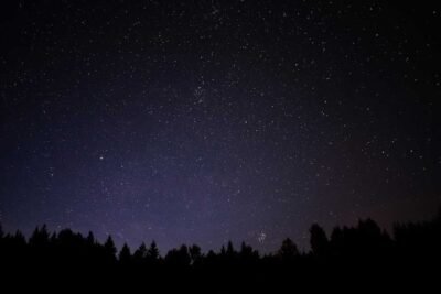 A starry sky with the silhouette of a forest