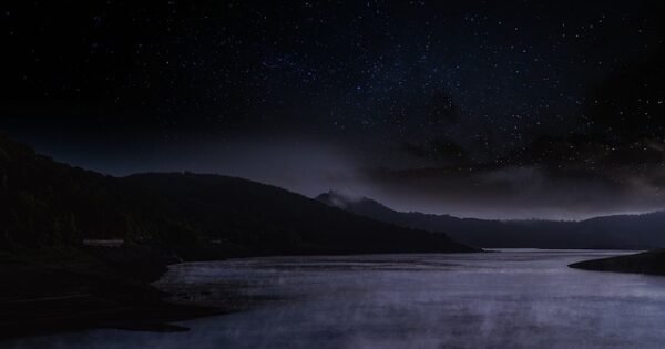 A dark wilderness underneath the stars