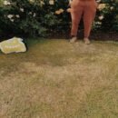 A man standing in front of a bush wearing brown shoes in grass. A small yellow material next to him that reads happy.