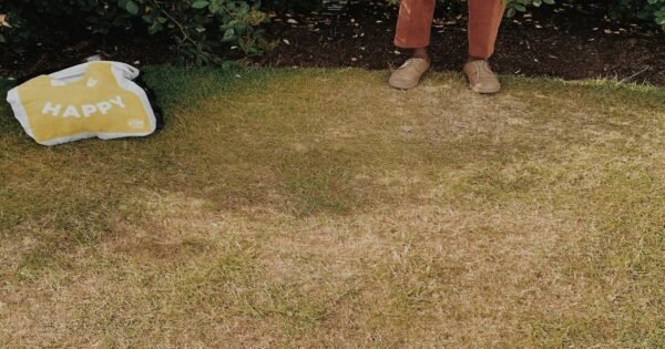 A man standing in front of a bush wearing brown shoes in grass. A small yellow material next to him that reads happy.