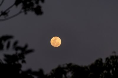 Harvest Moon at nighttime