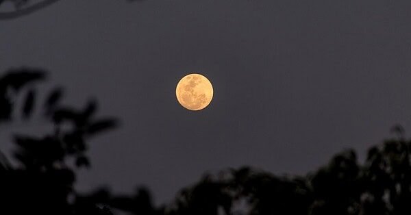 Harvest Moon at nighttime