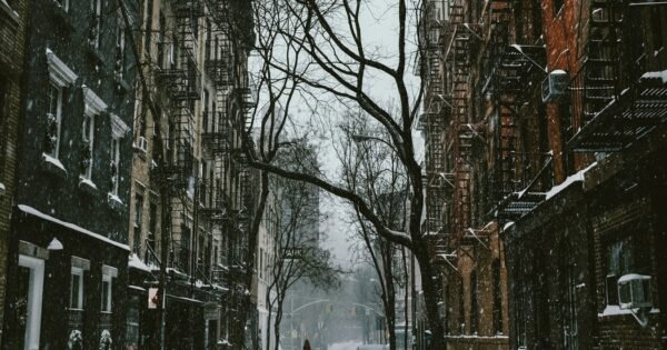 A street blanketed with snow between two buildings and one tree. A single bundled up person is shown.